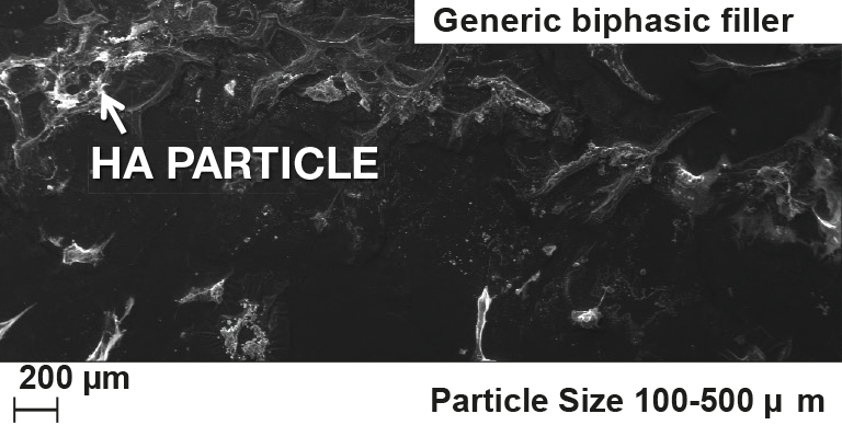 generic biphasic filler